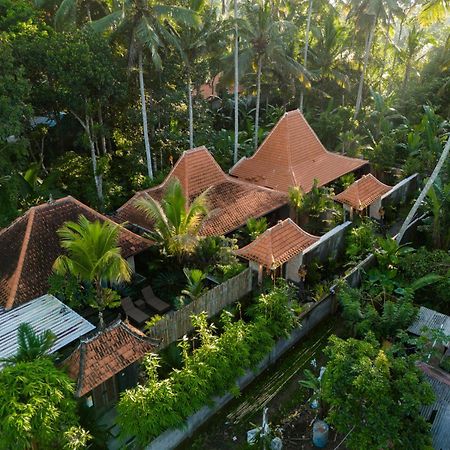 Jaya Villa Ubud  Ngoại thất bức ảnh