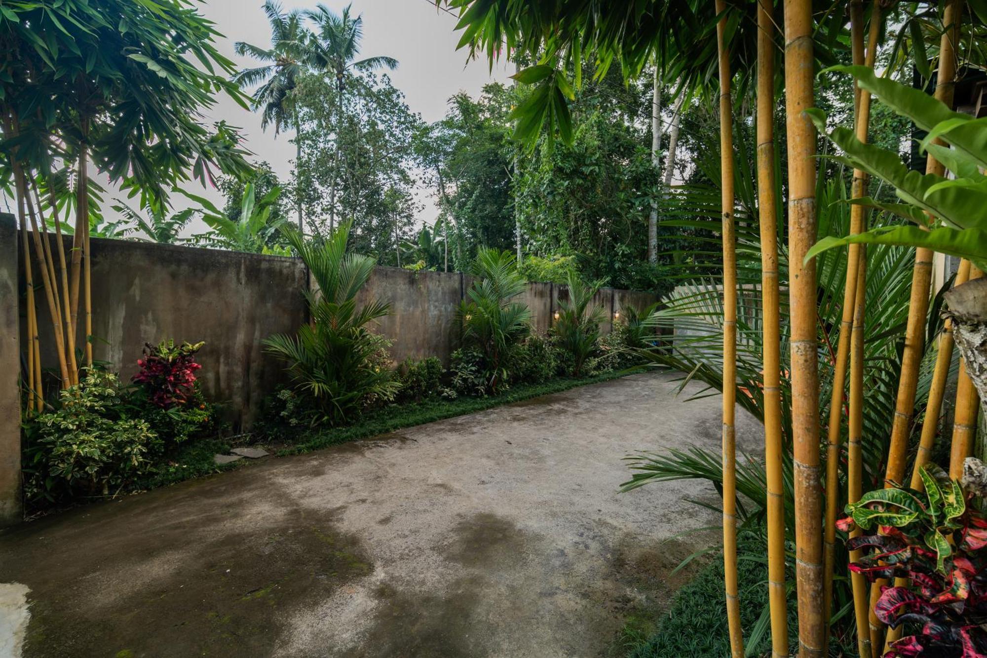 Jaya Villa Ubud  Ngoại thất bức ảnh