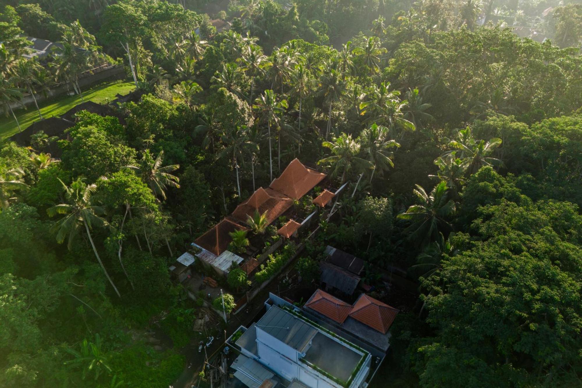 Jaya Villa Ubud  Ngoại thất bức ảnh